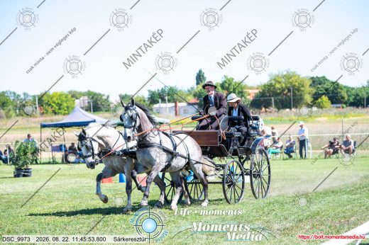 Mintakép 20260822-1602