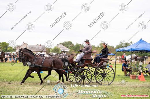 Mintakép 20260822-1674