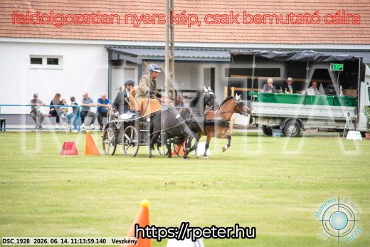 Mintakép 20260614-874