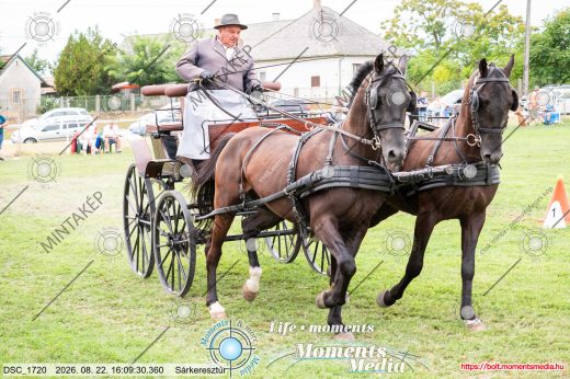 Mintakép 20260822-1679