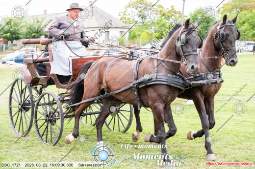 Mintakép 20260822-1680
