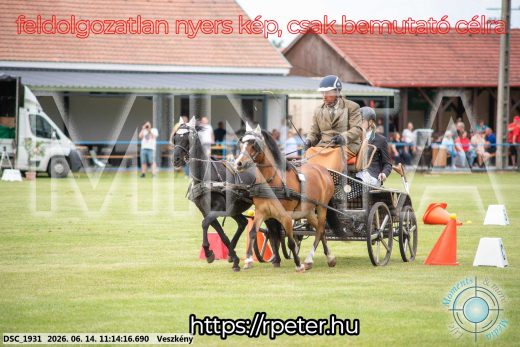 Mintakép 20260614-877