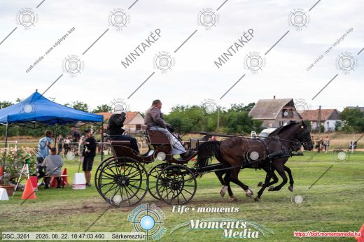 Mintakép 20260822-1713