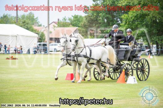 Mintakép 20260614-15