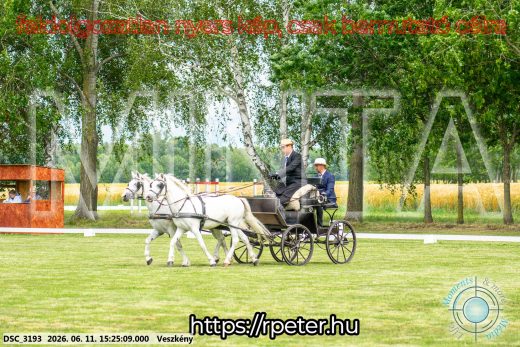 Mintakép 20260611-123
