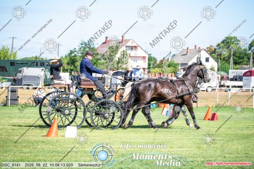 20260822-100413-DSC_9141.jpg