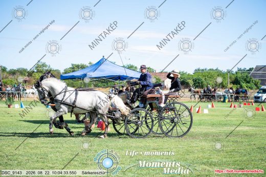 Mintakép 20260822-1775