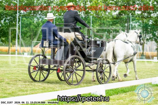 Mintakép 20260611-124