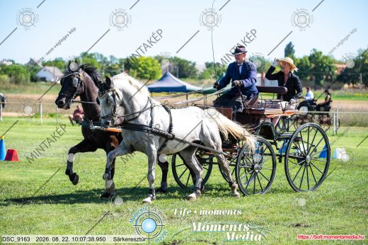 Mintakép 20260822-1785