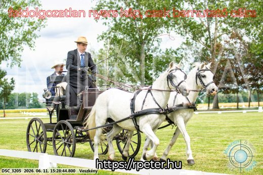 Mintakép 20260611-129