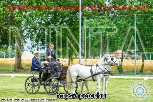 Mintakép 20260611-131