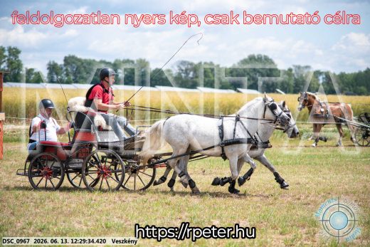 Mintakép 20260613-1738