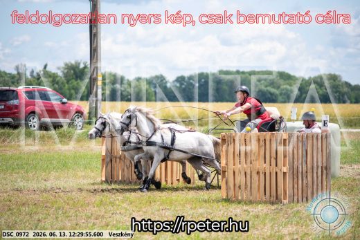 Mintakép 20260613-1739