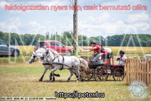 Mintakép 20260613-1740