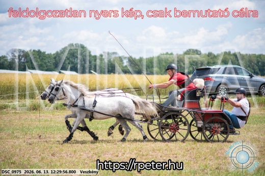 Mintakép 20260613-1741