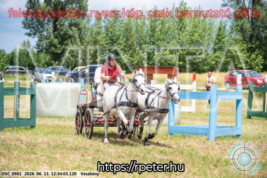 Mintakép 20260613-1743