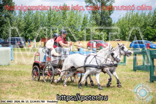 Mintakép 20260613-1745