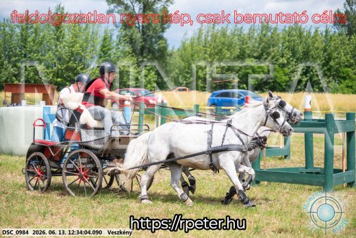 Mintakép 20260613-1746