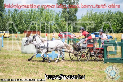 Mintakép 20260613-1748