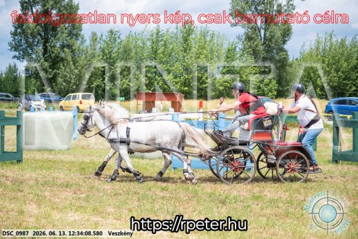 Mintakép 20260613-1749