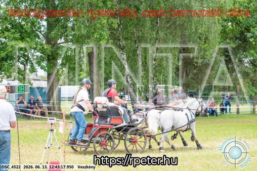 Mintakép 20260613-1751