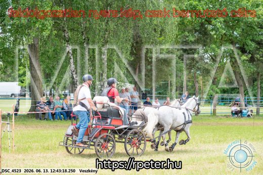Mintakép 20260613-1752