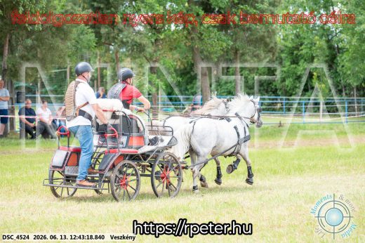 Mintakép 20260613-1753