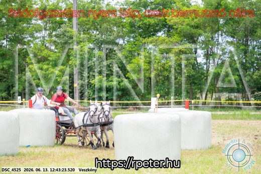 Mintakép 20260613-1754