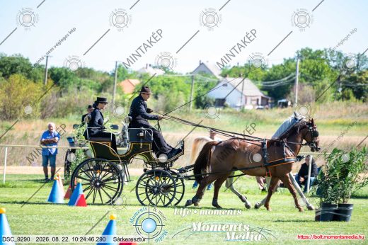 Mintakép 20260822-2033