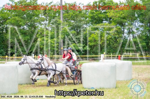 Mintakép 20260613-1755