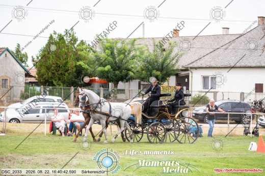 Mintakép 20260822-2039