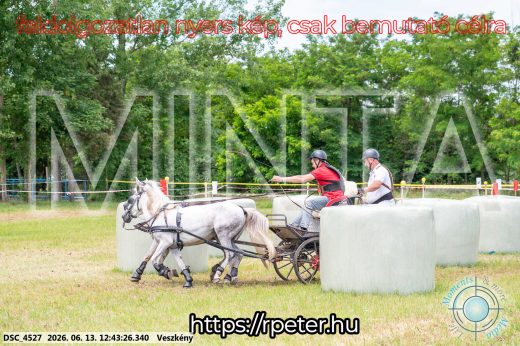 Mintakép 20260613-1756