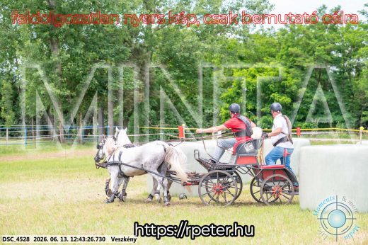 Mintakép 20260613-1757