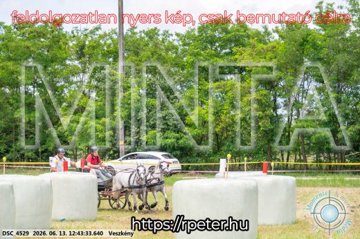 Mintakép 20260613-1758