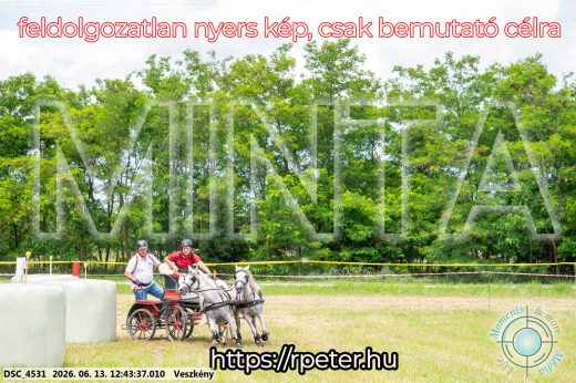 Mintakép 20260613-1759