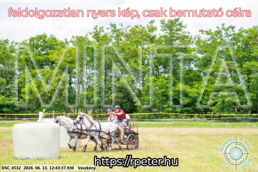 Mintakép 20260613-1760