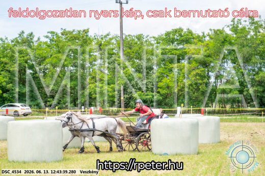 Mintakép 20260613-1762