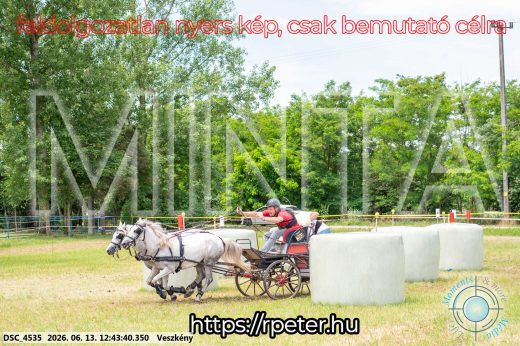 Mintakép 20260613-1763