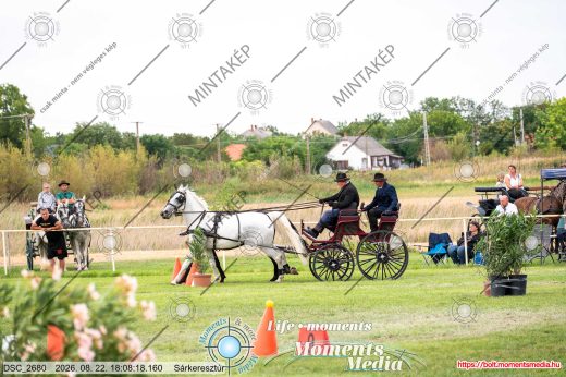 Mintakép 20260822-2125