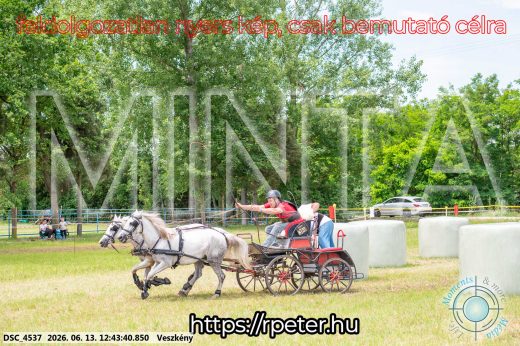 Mintakép 20260613-1765