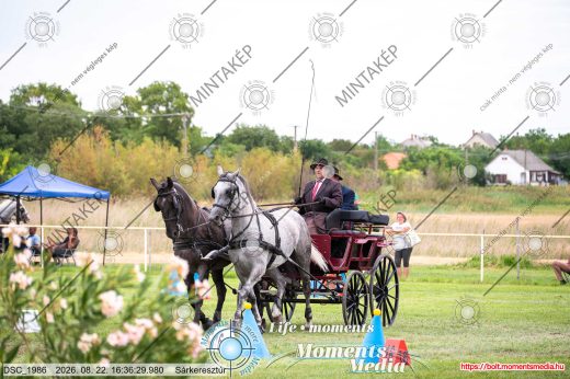 Mintakép 20260822-2162