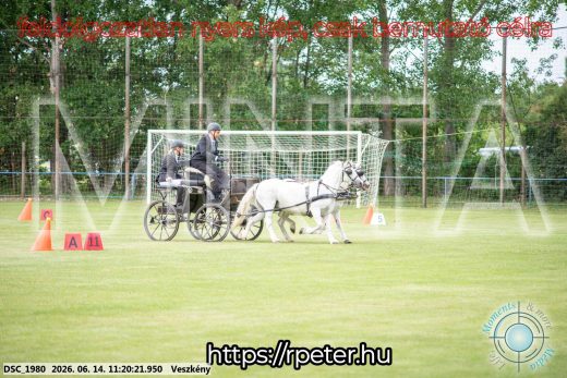 Mintakép 20260614-881