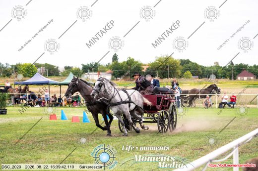 Mintakép 20260822-2184