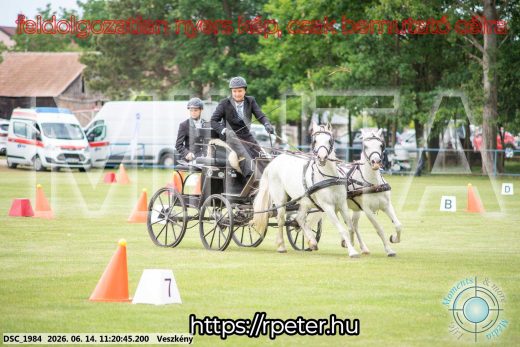 Mintakép 20260614-883