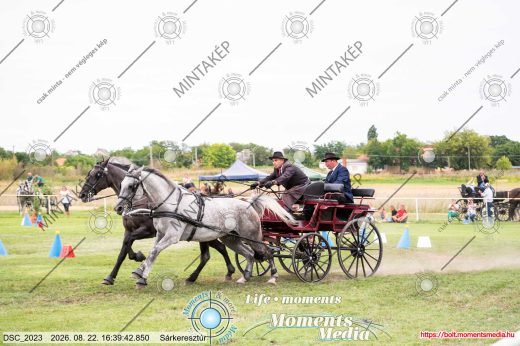 Mintakép 20260822-2186