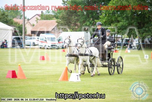 Mintakép 20260614-884