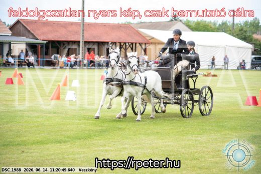 Mintakép 20260614-886