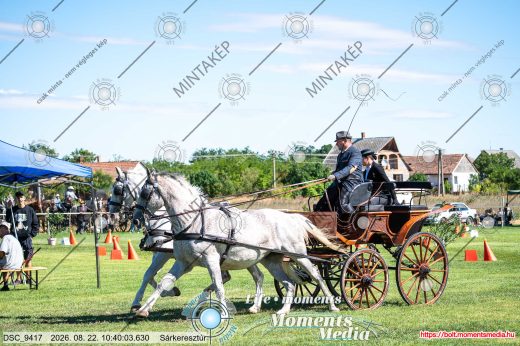 Mintakép 20260822-2224