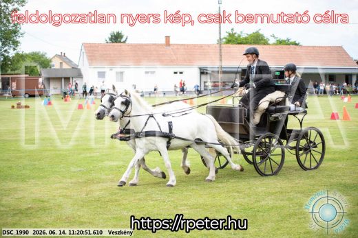Mintakép 20260614-887
