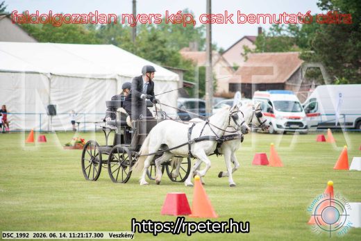 Mintakép 20260614-889